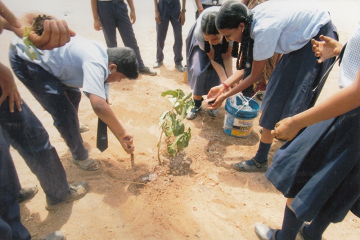 Angappa Education Trust Senior secondary School-Haritha haram