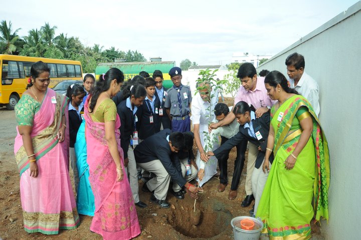 AVP Trust Public School-Tree Palntation