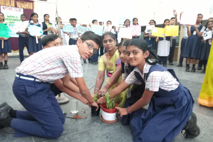 Bhaktavatsalam Vidyashram-Tree Plantation
