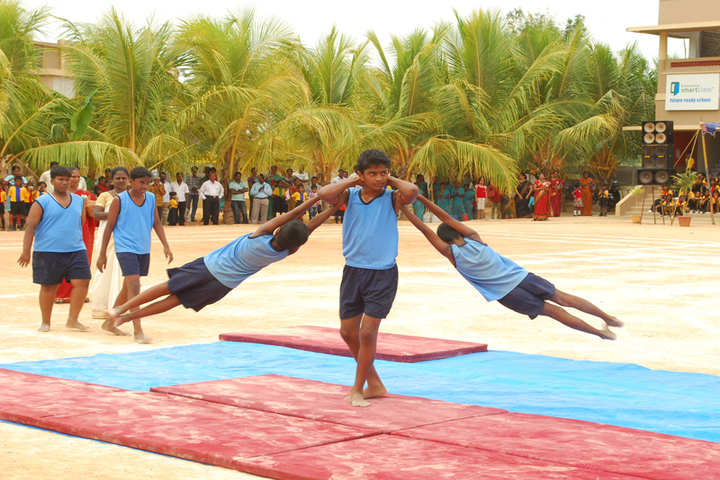 Blossom Public School-Activity