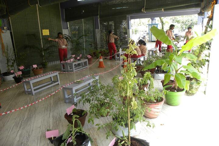 Boaz Public School-Environment Day