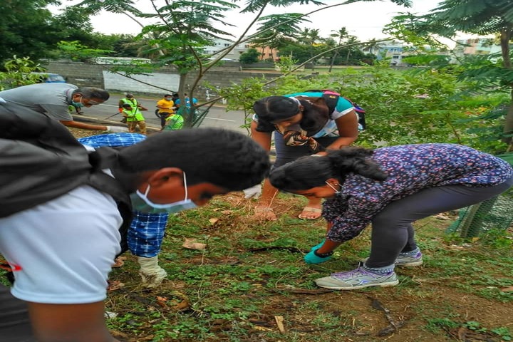Boaz Public School-Tree Plantation