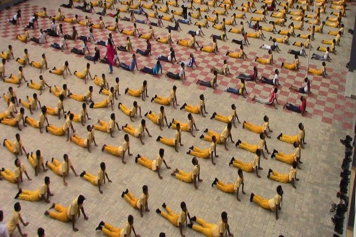 Brilliant Vidya Bhavan-Yoga Day