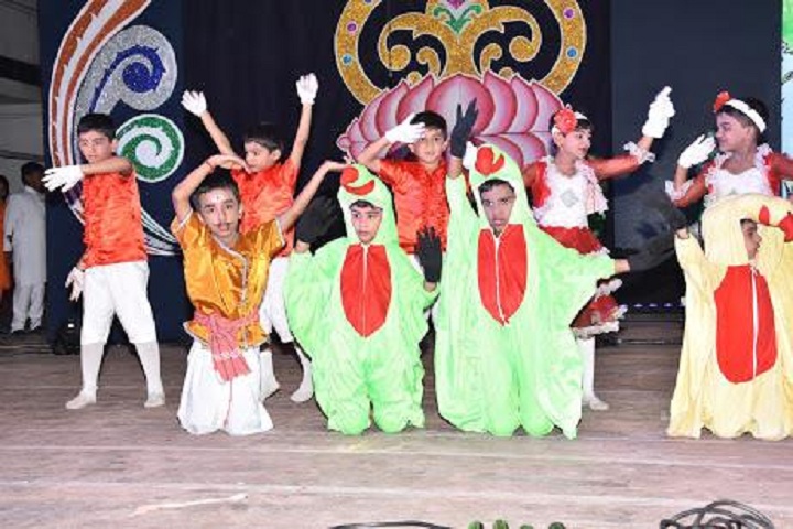D A V Senior Sec School-Cultural Activities