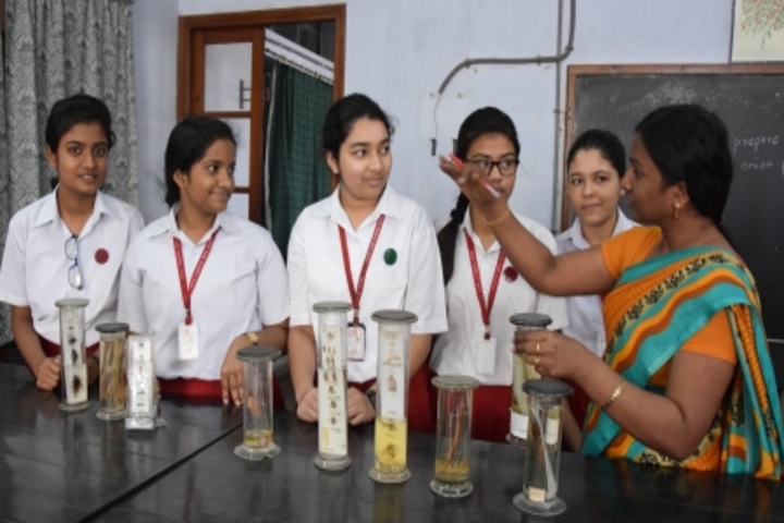 Notre Dame Academy-Biology Lab