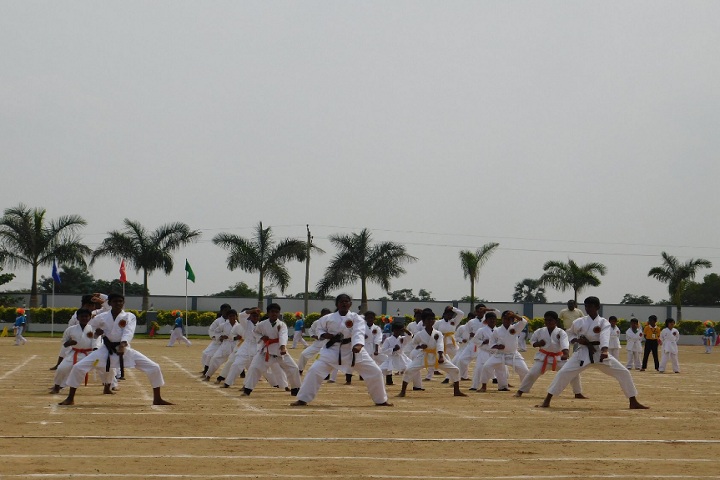 Dheeran Chinnamalai International Residential School-Karate