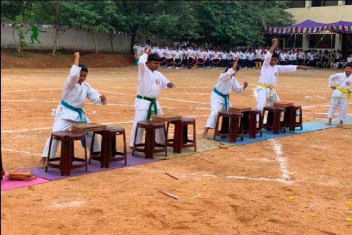 Dobbs Public School-Karate