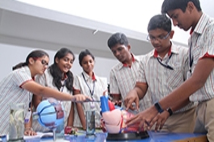 Gedee Public School-Biology Lab