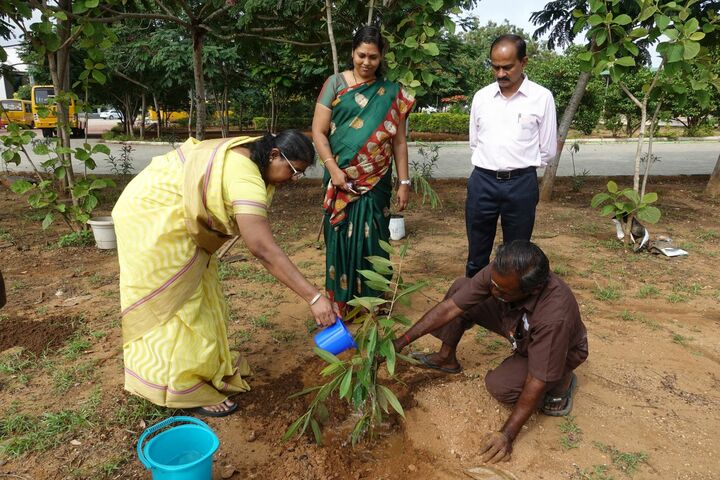 Gedee Public School-Plantation