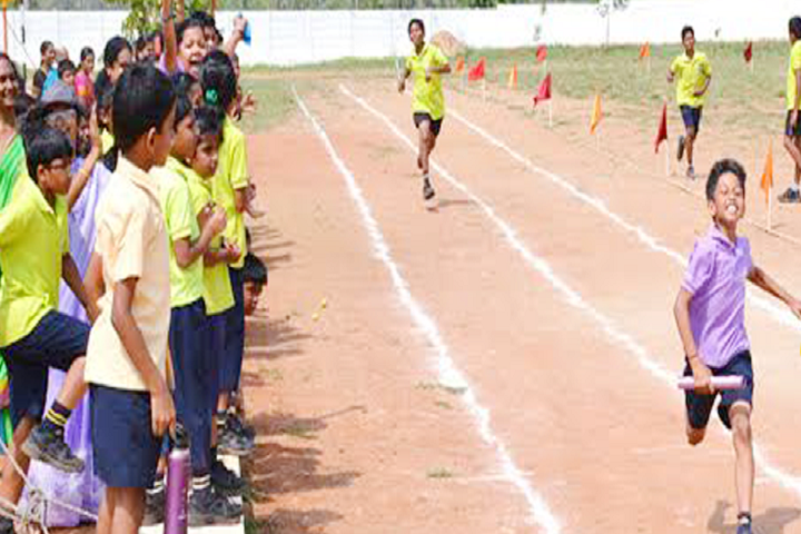 Honey Bunch School-Sports
