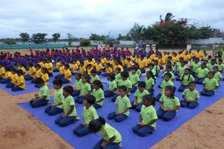 Honey Bunch School-Yoga