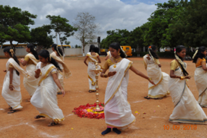 Ideal Mount Litera Zee School-Festival Celebration