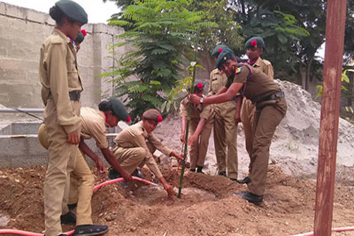K G International School-NSS Students Activity