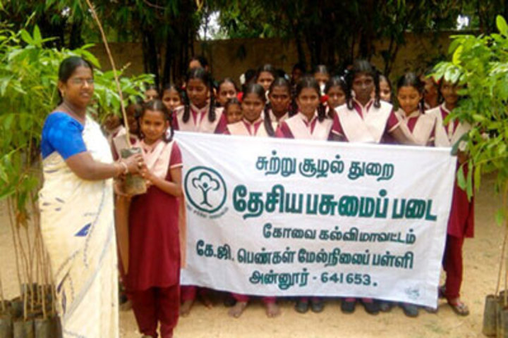 K G International School-Tree Plantation