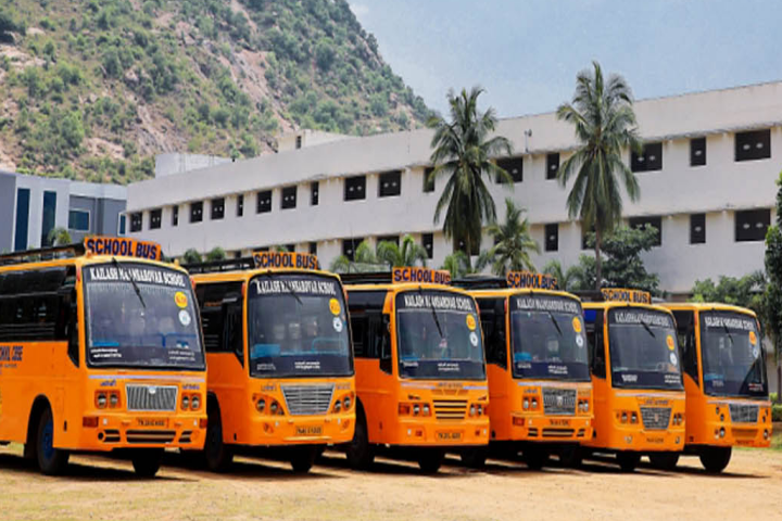 School Buses of Kailash Maansarovar School