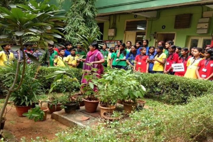 Kendriya Vidyalaya-Haritha Vidhyalaya