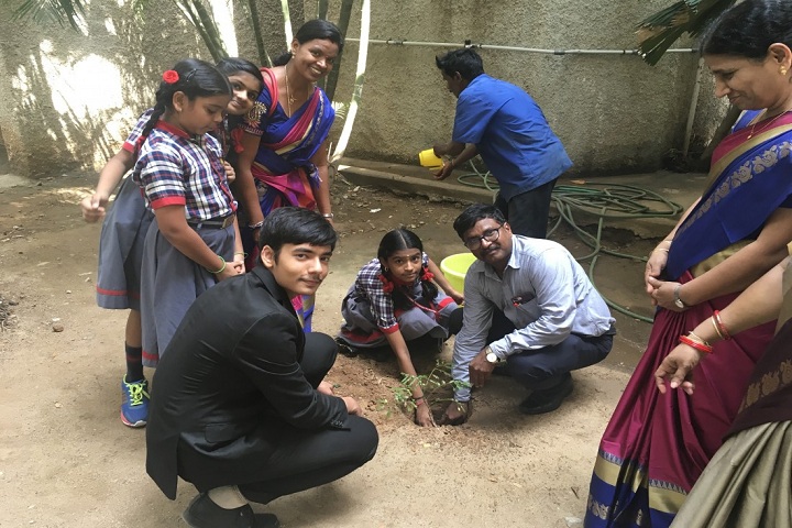 Kendriya Vidyalaya Annanagar-plantation