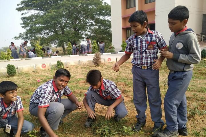 Kendriya Vidyalaya-Tree Plantation