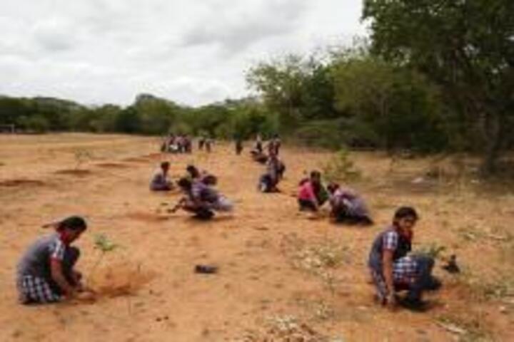 Kendriya Vidyalaya No 2-Tree Plantation