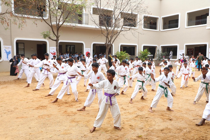 Kings cbse school-karate