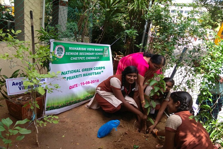 Maharishi Vidya Mandir-Green Day