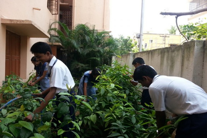 Modern Senior Secondary School-Green Day