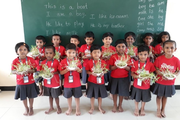 Nandha Central School-Tree Plantation