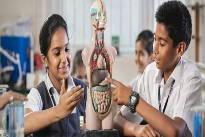 National Vidyalaya Senior Secondary School-Biology Lab