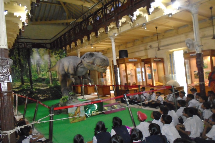 Peace On Green Earth Public School-Museum