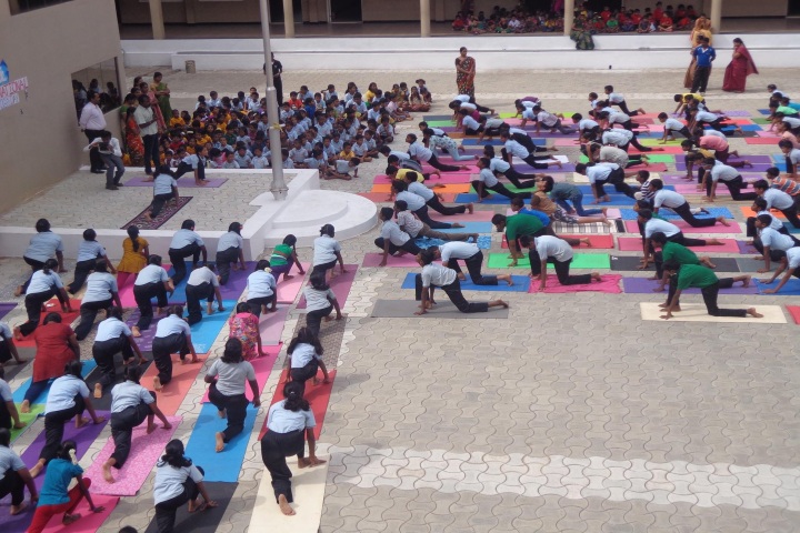 Pon Vidya Mandir Senior Secondary School-Activity Day