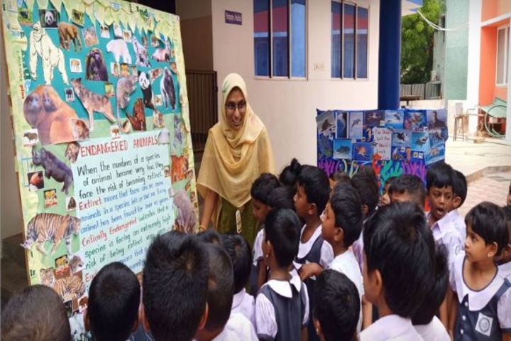 Pushpalata Vidya Mandir-Environment