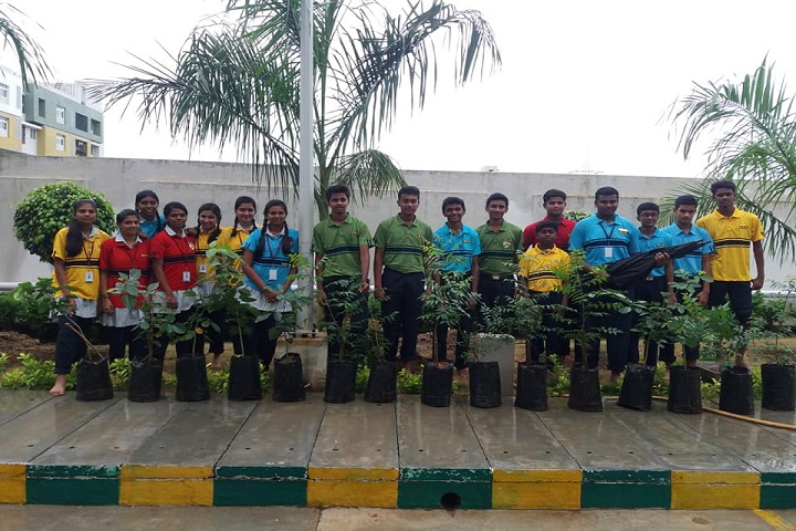 RMK School-Plantation