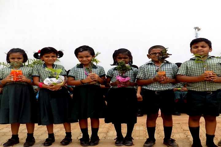 Rose Mary Ideal Public School-Eco Activities