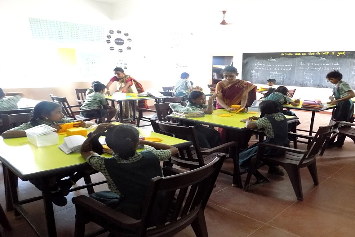 Rose Mary Ideal Public School-Club acivities