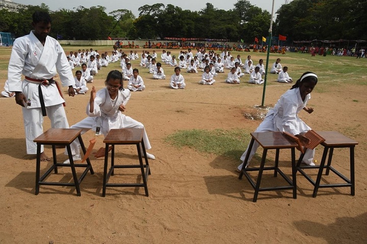 Shri B.S.Mootha Girls Senior Secondary School - Karate