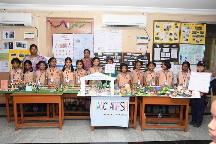 Shri B.S.Mootha Girls Senior Secondary School - Projects