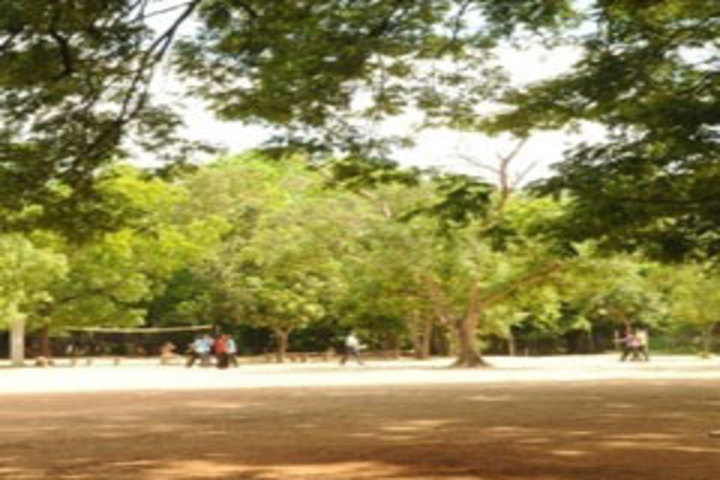 Sir Mutha School - ground