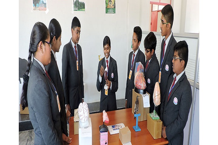 Sri Ambal Thulasi Public School-activity