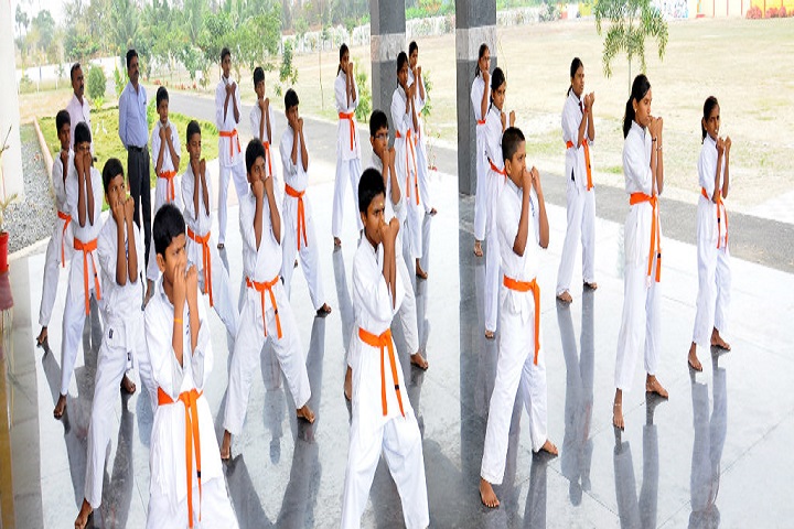 Sri Ambal Thulasi Public School-karatte