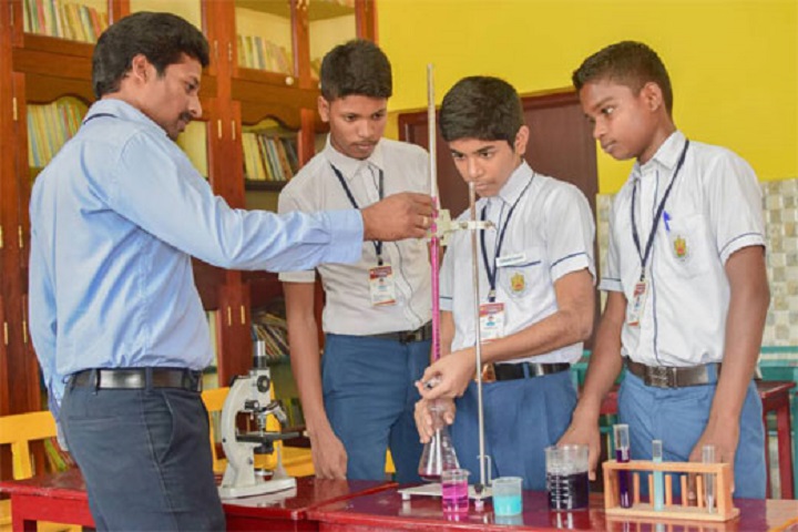 Sri Ramana Public School-physics lab
