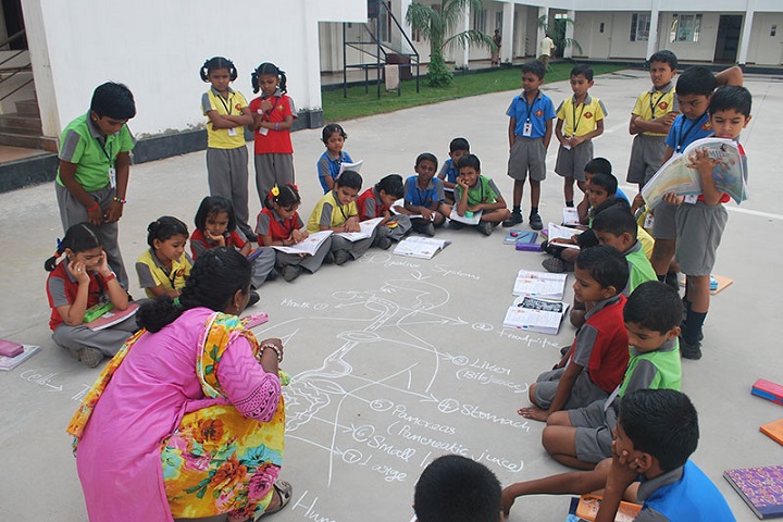Sri Sankara Vidyalayaa-Activity