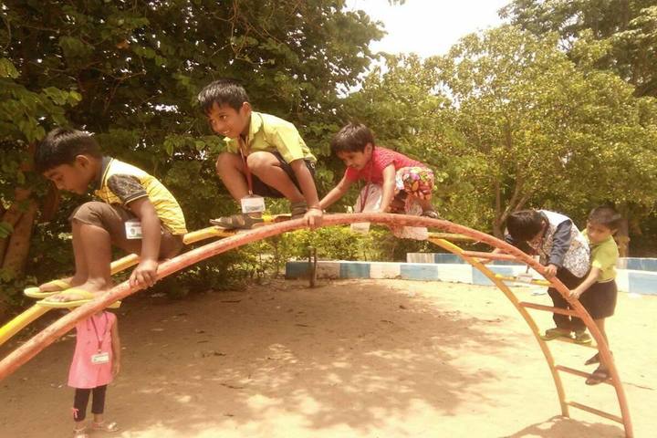 Star School- Kids Play Park