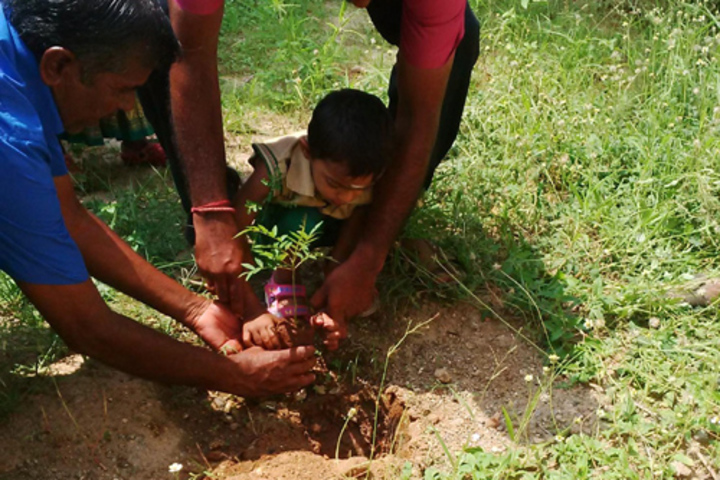 Star School- Plantation