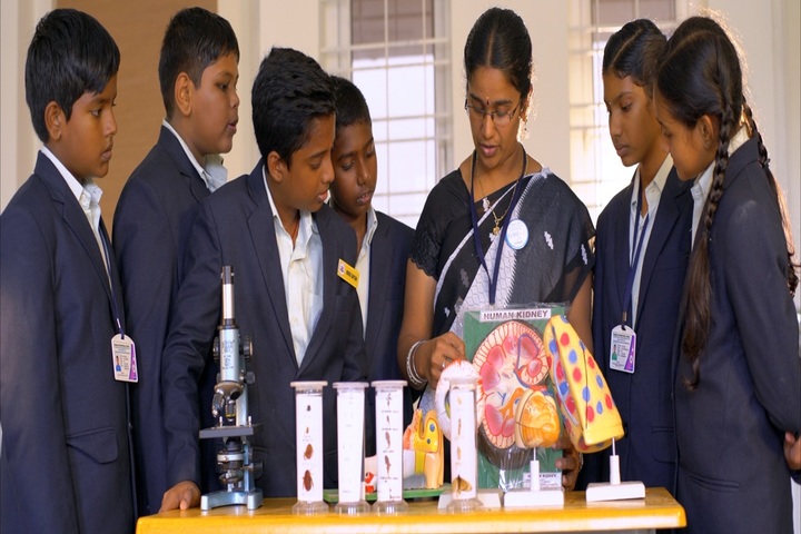 Thamarai International School- Science Lab
