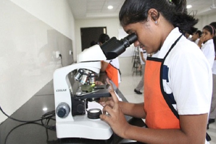 The Indian Public School-Lab