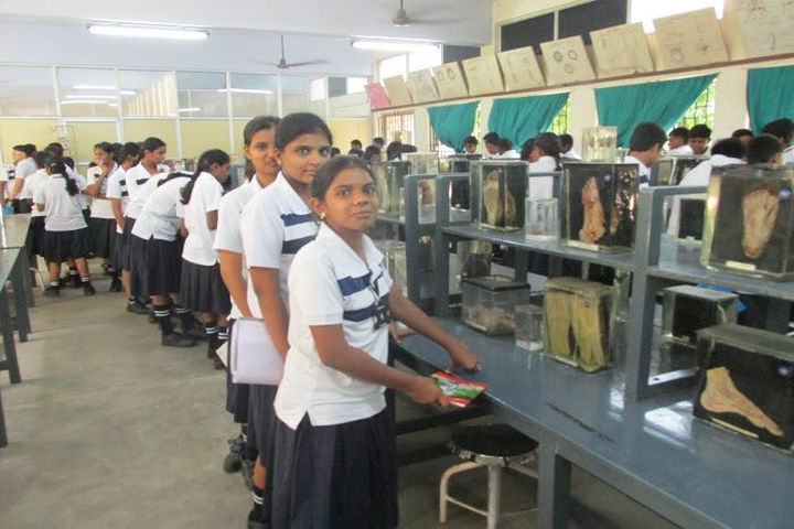 The Indian Public School-Bio Labs