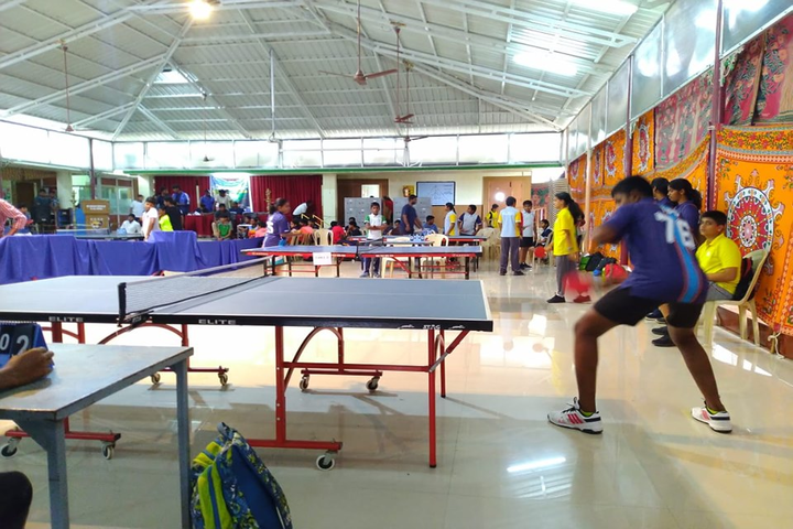 The Indian Public School-Indoor Games