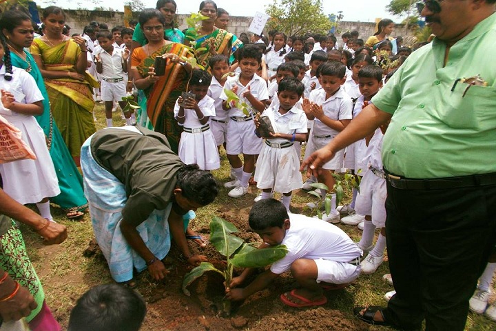 VKM Vidhyalaya School-Swachh Bharath