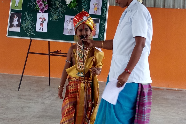 Vardha Vikas Public School-Fancy Dress Competition