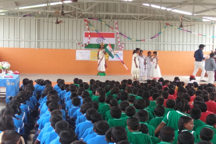 Vardha Vikas Public School-Independence Day Celebration